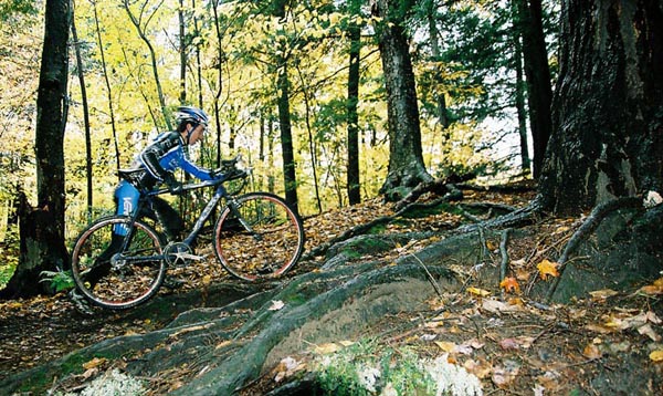 Quebec Provincial `Cross Championships