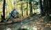 Quebec Provincial `Cross Championships