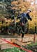 Quebec Provincial `Cross Championships
