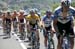 TDF 2005