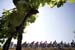 TDF 2005
