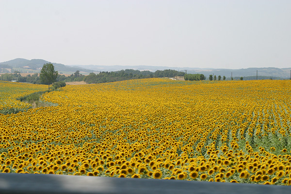 Tour de France