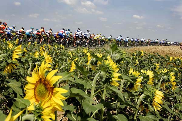 TDF