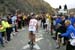 TDF 2005