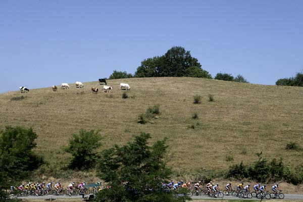 TDF 2005