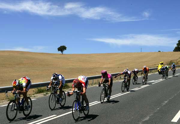 TDF 2005