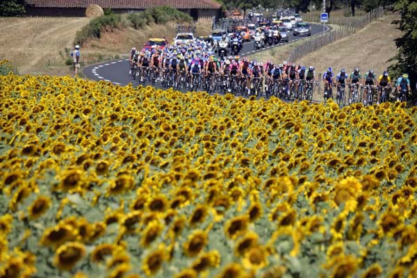 TDF 2005