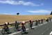 TDF 2005