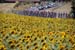 TDF 2005
