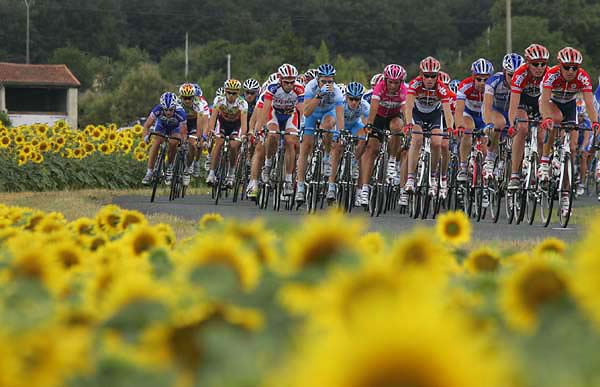 TDF