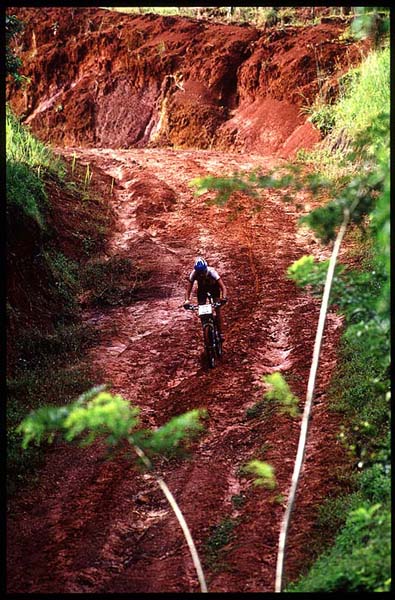 La Ruta