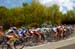 Montreal World Cup