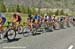 2005 Road Nationals