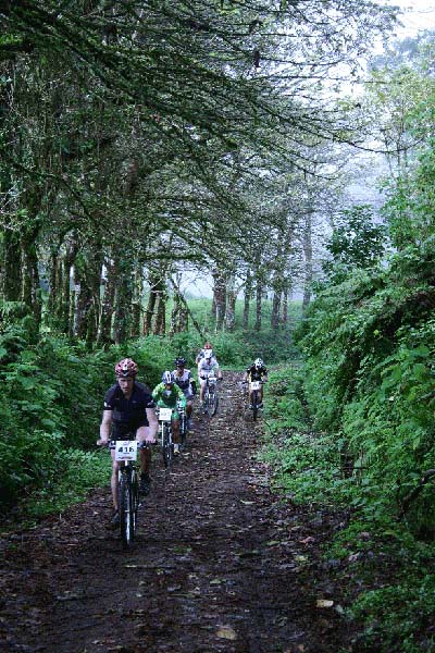 Ruta 2005