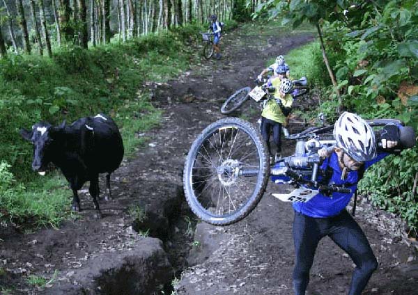 Ruta 2005