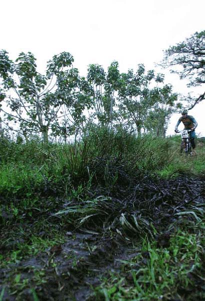 Ruta 2005