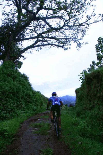 Ruta 2005