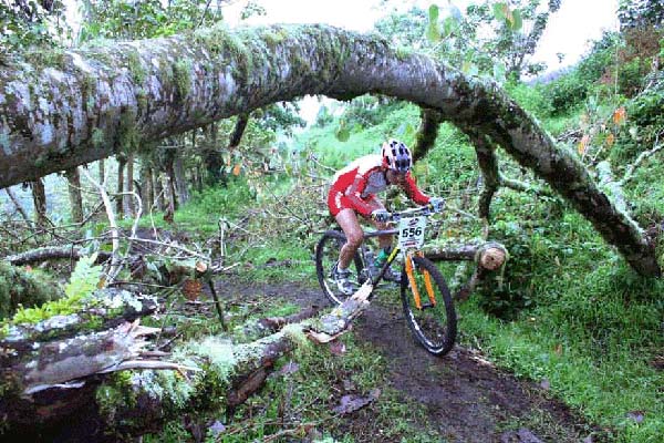 Ruta 2005