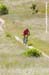 Sea Otter Classic -XC
