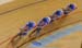 Track World Championships