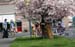Tour of Walla Walla