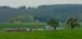 International Rheinland-Pfalz Rundfahrt