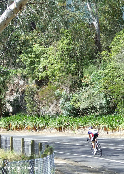 Herald Sun Tour