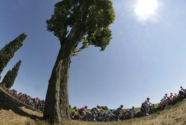 TDF