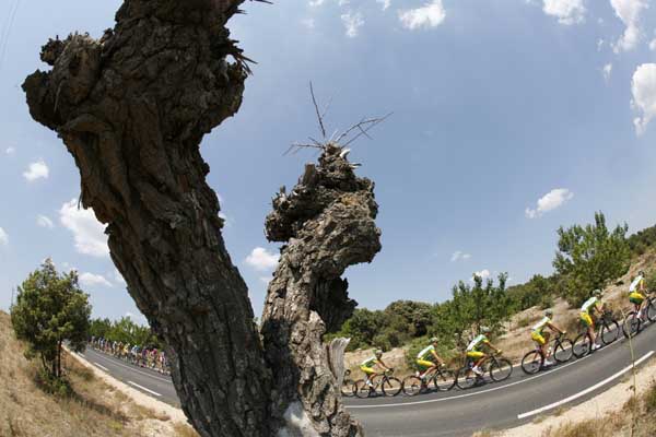 TDF
