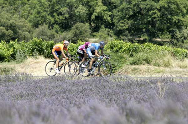 TDF