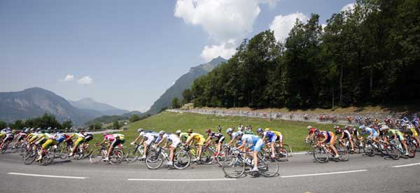 TDF