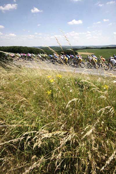 TDF