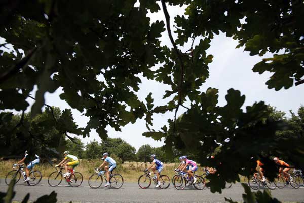 TDF