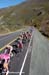 2006 Tour of California