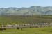 2006 Tour of California