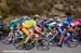 2006 Tour of California