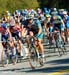 2006 Tour of California