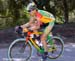 2006 Tour of California