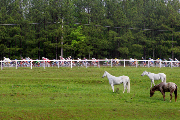 Tour de Georgia