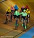 forestvelo