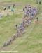 MTB World Championships