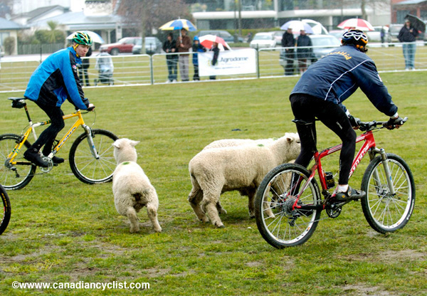 MTB World Championships