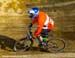 MTB World Championships