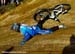 MTB World Championships