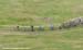 MTB World Championships