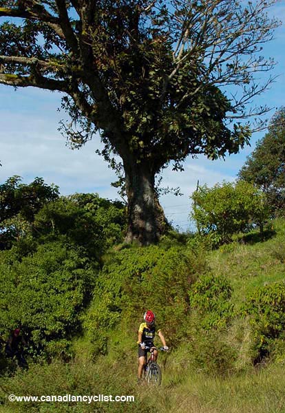 2006 La Ruta de los Conquistadores
