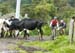 2006 La Ruta de los Conquistadores