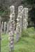2006 La Ruta de los Conquistadores