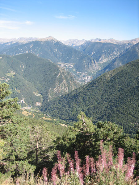 Massi