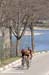 39th Springbank RR